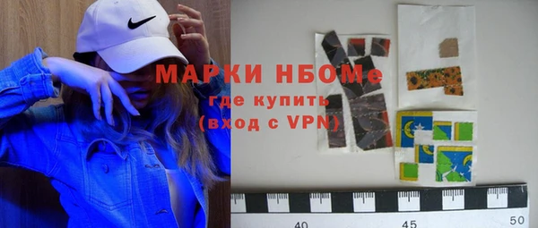 стаф Алексин