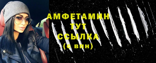 стаф Алексин