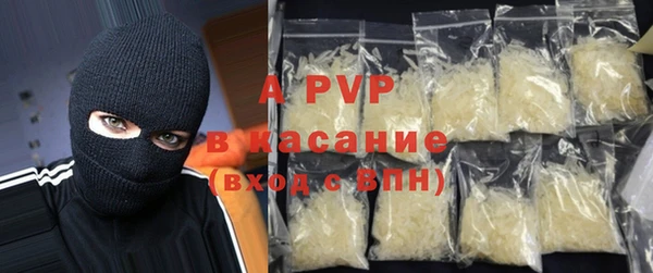стаф Алексин