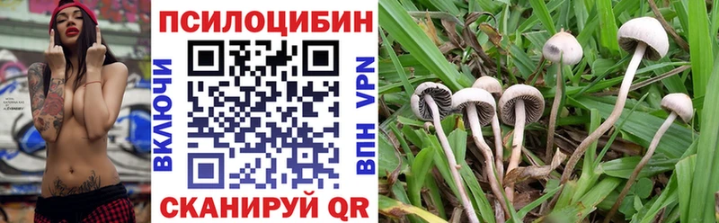 Псилоцибиновые грибы MAGIC MUSHROOMS  ОМГ ОМГ ТОР  Мостовской  продажа наркотиков 